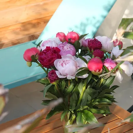 Lejlighed Les Hirondelles