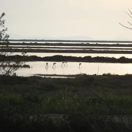 Les Hirondelles Lejlighed